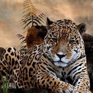 Meet your Posher, Gwin